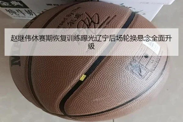 赵继伟休赛期恢复训练曝光辽宁后场轮换悬念全面升级