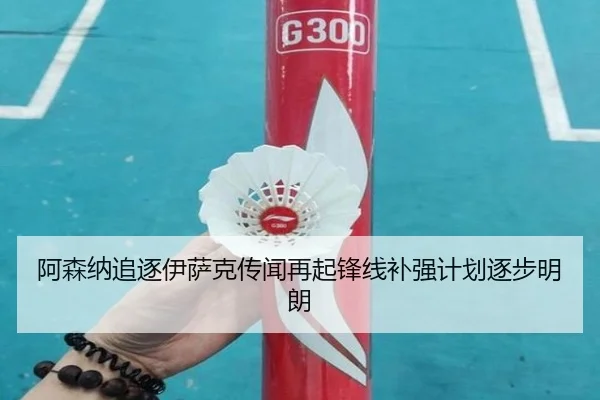 阿森纳追逐伊萨克传闻再起锋线补强计划逐步明朗