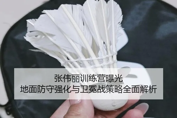 张伟丽训练营曝光 地面防守强化与卫冕战策略全面解析
